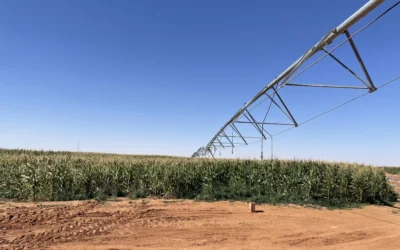 Water Resources for Agricultural Development in Algeria