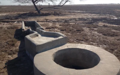 Hydrogeological maps and Groundwater Portal for the State of Qatar