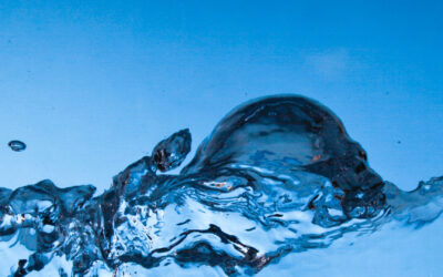 Celebrating World Water Day with the Launch of Our New Website