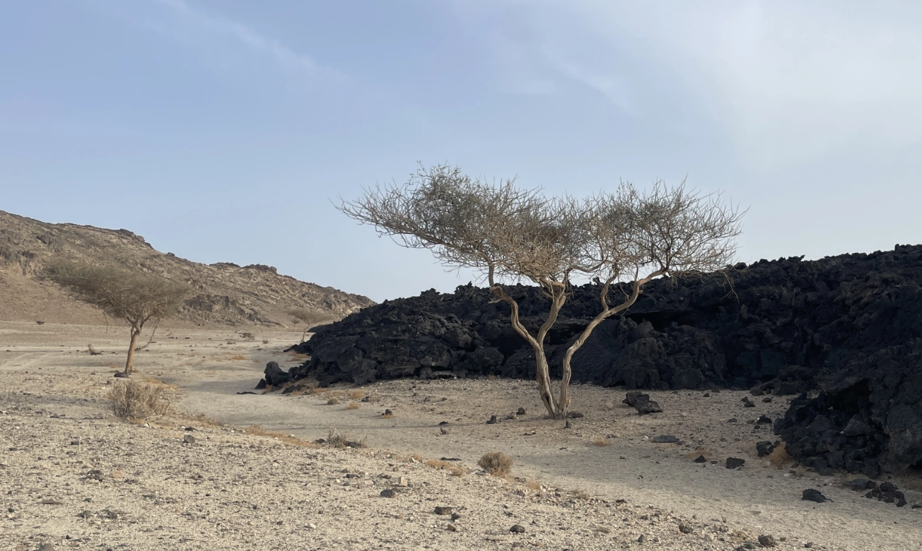 Environmental Impact Assessment for Large Scale Construction Dewatering